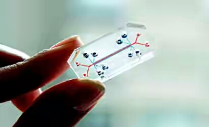 China to track citizens in real time