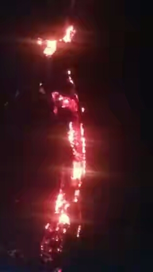 Mysterious fire on 250-year-old Badagry tree defies firefighters