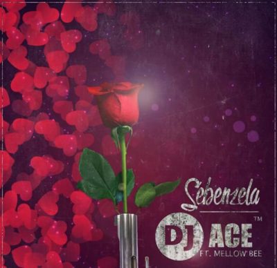 DOWNLOAD MP3: DJ Ace SA – Sebenza ft. Mellow Bee