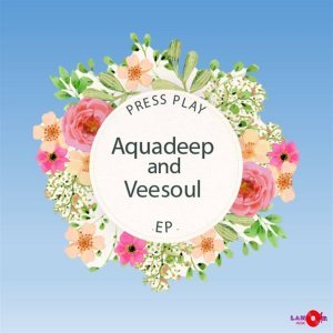 MUSIC | Aquadeep & Veesoul – Take Over (Original Mix)