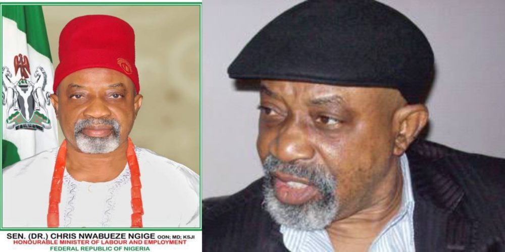 Education that can’t create jobs is useless – Chris Ngige