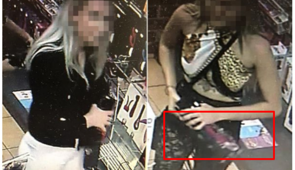 2 women nabbed after stealing sex toys from adult shop