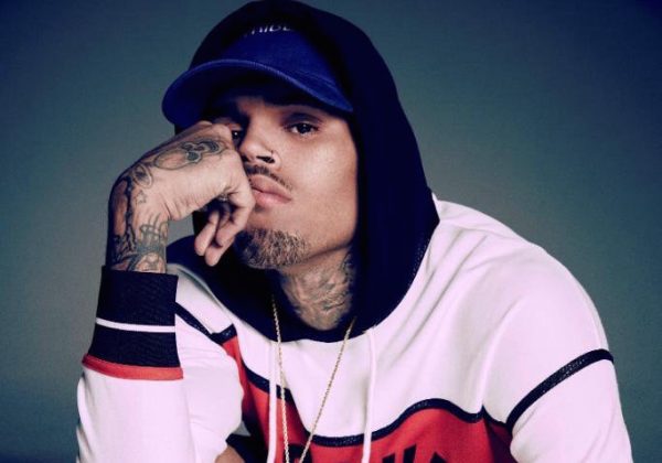 Chris Brown Charged To Court Over Owning A Pet Monkey, Set To Face Jail Sentence