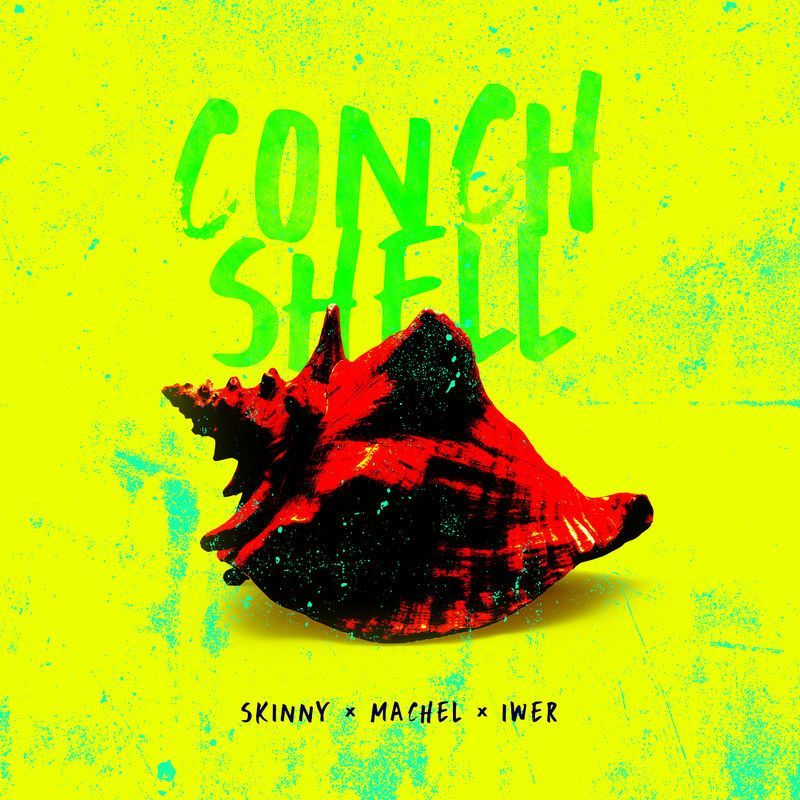 Conch Shell Sound Mp3 Free Download