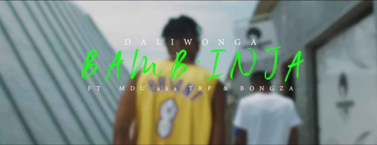 VIDEO: Daliwonga Ft. Mdu aka TRP & Bongza – Bamb’inja | Download mp4 ...