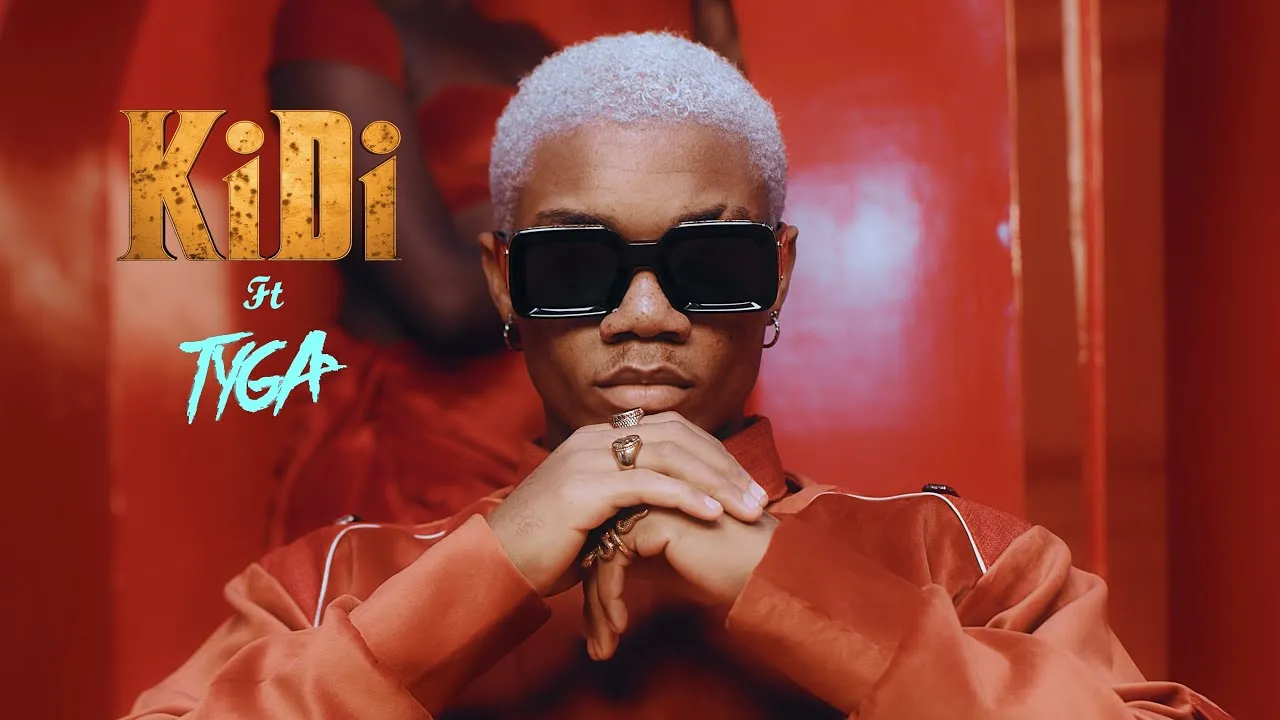 VIDEO: KiDi Ft. Tyga – Touch It (Remix) | mp4 Download