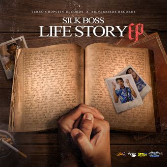 DOWNLOAD Silk Boss – Feelings mp3