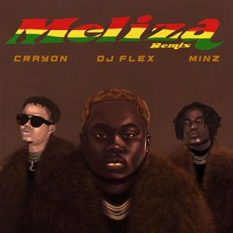 DOWNLOAD DJ Flex – Meliza Ft Crayon & Minz mp3