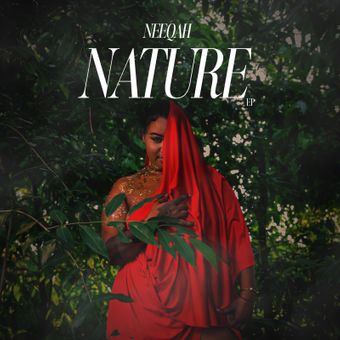 DOWNLOAD Neeqah – Gifted mp3