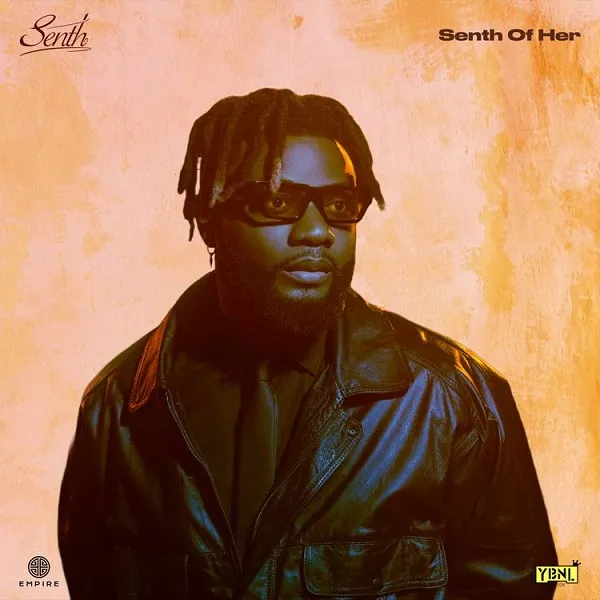 DOWNLOAD Senth – Don’t Care mp3