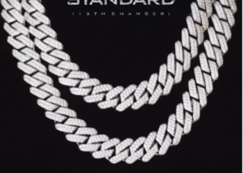 DOWNLOAD Shatta Wale – Standard mp3