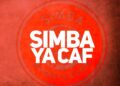 DOWNLOAD Simba P Ft Jos Mtambo – NARINGA mp3