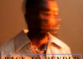 DOWNLOAD Skiibii – Back To Sender mp3