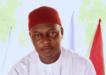 Chijioke Edeoga biography, career, age, state of origin, education, career, politics, wife