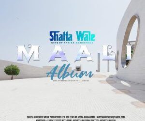 DOWNLOAD Shatta Wale – African Kylie mp3