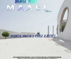 DOWNLOAD Shatta Wale – Mansa Musa ft. Vybz Kartel mp3