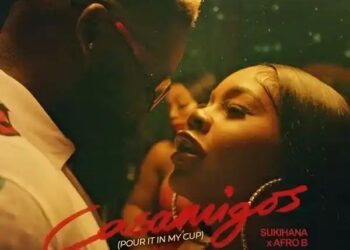 DOWNLOAD Afro B – Casamigos (Pour It In My Cup) mp3