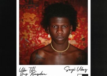 DOWNLOAD Seyi Vibez – Fuji Interlude mp3