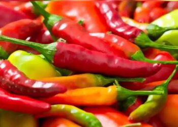 Why colour is important while buying chillies
