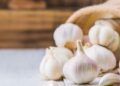 The easiest way to grow garlic in your kitchen