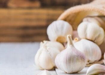 The easiest way to grow garlic in your kitchen