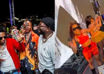 Amapiano shines at Afro Nation, Portugal (Video)