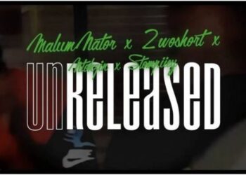 DOWNLOAD Ntokzin – Manyonyoba Ft. MalumNator, 2woshot, Stompiiey & Dr Thulz mp3