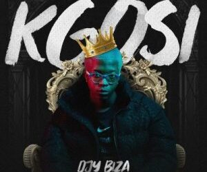 DOWNLOAD Djy Biza – Bizaza mp3