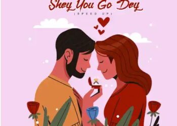 DOWNLOAD Luddy Dave – Shey You Go Dey (Speed Up) mp3