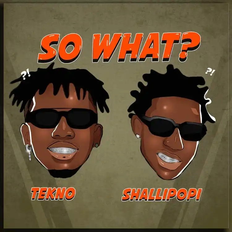 DOWNLOAD Tekno – So What? Ft. Shallipopi mp3
