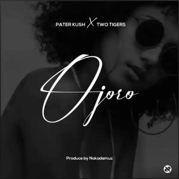 DOWNLOAD Pater kush – Ojoro (Sped up) mp3