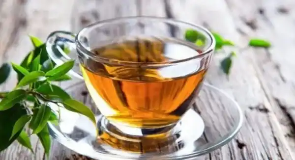5 teas that can help you live longer and reduce the risk of chronic diseases