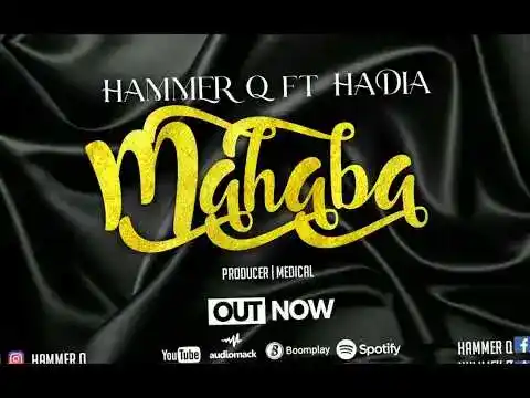 DOWNLOAD Hammer Q Ft Hadia – Mahaba mp3