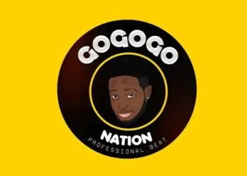 DOWNLOAD Professional Beat – Oro Nla Leda mp3