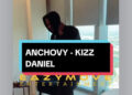 DOWNLOAD Kizz Daniel – Anchovy Tiktok Speed Up mp3