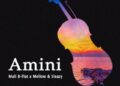 DOWNLOAD Mali B-flat – Amini ft Mellow Sleazy mp3