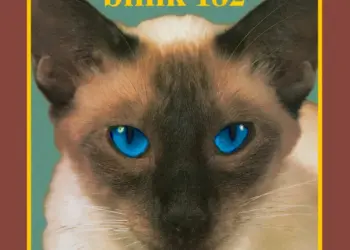 blink-182’s “Carousel” Meaning