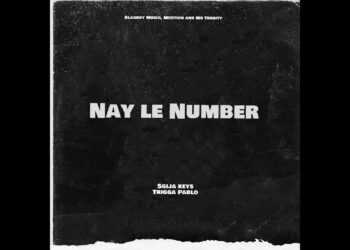 DOWNLOAD Sgija Keys & TriggaPablo – Nay le Number Ft. Blaqboy Musiq & M00tion & Mr Ternity mp3