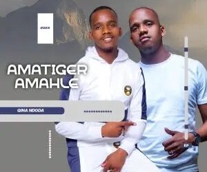 DOWNLOAD Amatiger amahle – Angilona ibhola mp3