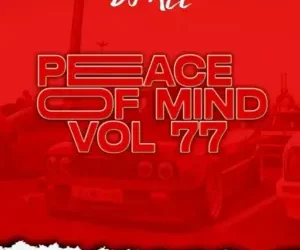 DOWNLOAD DJ Ace – Peace of Mind Vol 77 mp3