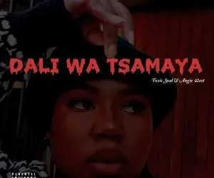 DOWNLOAD Toxic Soul & Angie West – Dali Wa Tsamaya ft Musa De Guitarist & Legit Folks MusiQ mp3
