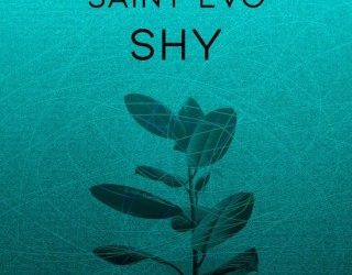 DOWNLOAD Saint Evo – Shy (Original Mix) mp3