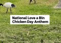 DOWNLOAD Bin Chicken Song mp3