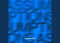 DOWNLOAD Assumptions (Slowed Down Version) mp3