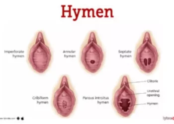 Vagina Virgem: O Que é, Mitos, Verdades e Cuidados Essenciais