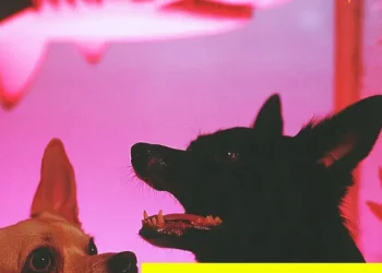 DOWNLOAD Lvbel C5 – HAVHAVHAV mp3