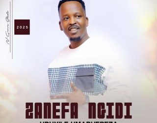 DOWNLOAD Zanefa Ngidi – Itotolozi yomntanami mp3