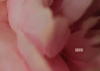 DOWNLOAD Lewis Capaldi – Survive mp3