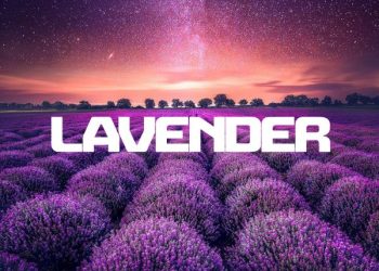 DOWNLOAD InQfive – Woza Kimi Ft. BusyExplore, Cyatt RSA mp3