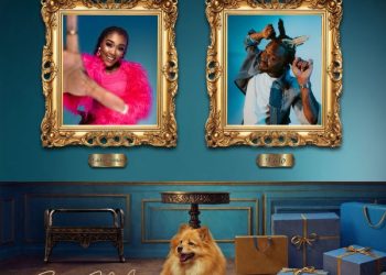 DOWNLOAD Lady Zamar – Show Me Ft Fido mp3